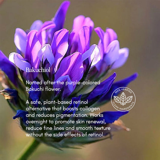 Bakuchiol - Gentle Retinol Alternative in Power8 Skincare