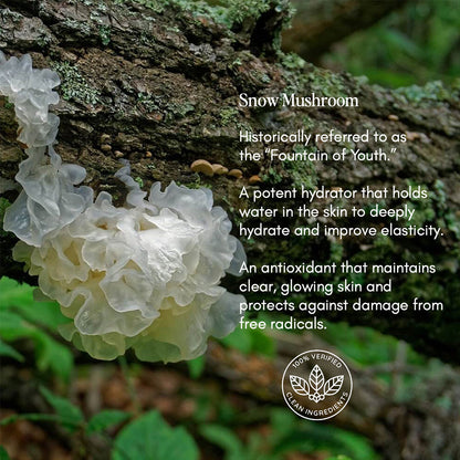 Power8 Face Moisturizer