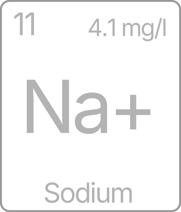 Sodium (Na+) test